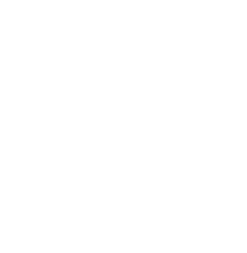 icono de valor 1