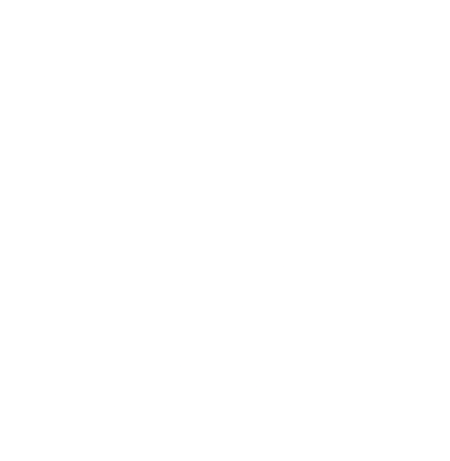 icono de valor 2